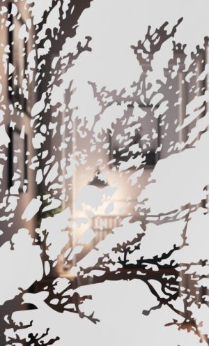 Elder Tree Etched Glass